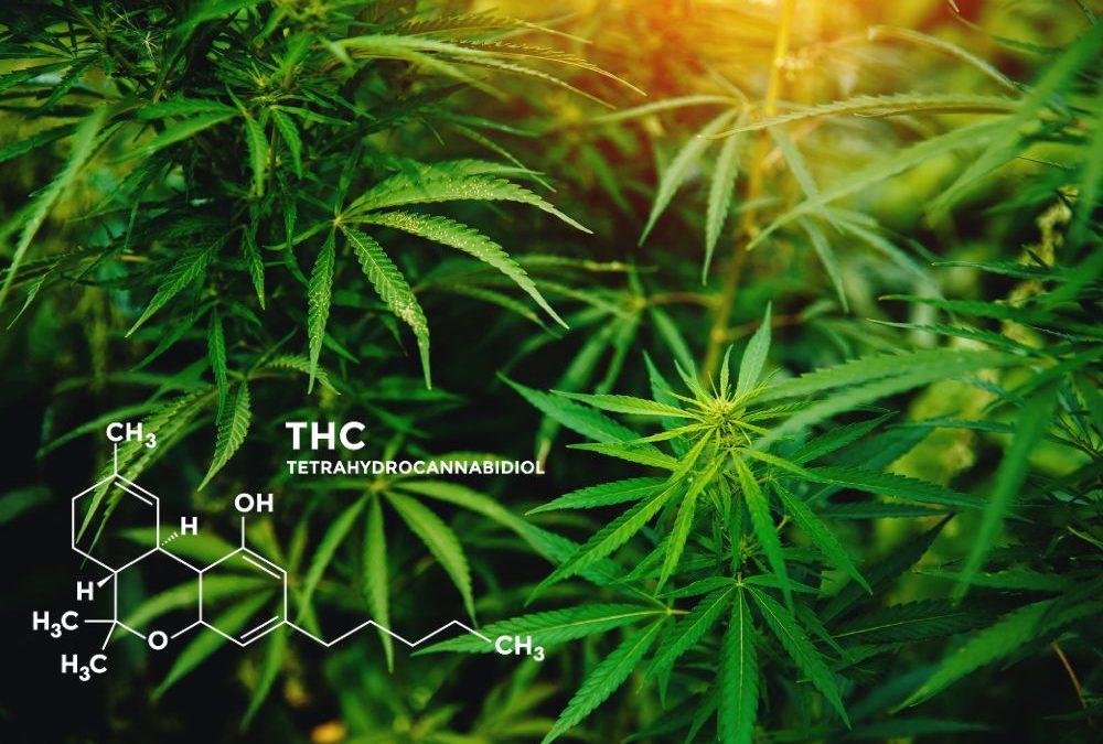 What to Know About THC-A Diamonds