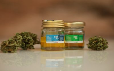 Find Relief and Wellness Support with a Trusted Dispensary in Biloxi, MS